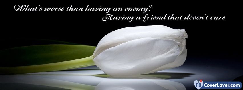 facebook covers flowers and quotes