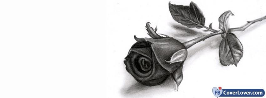 Black Rose