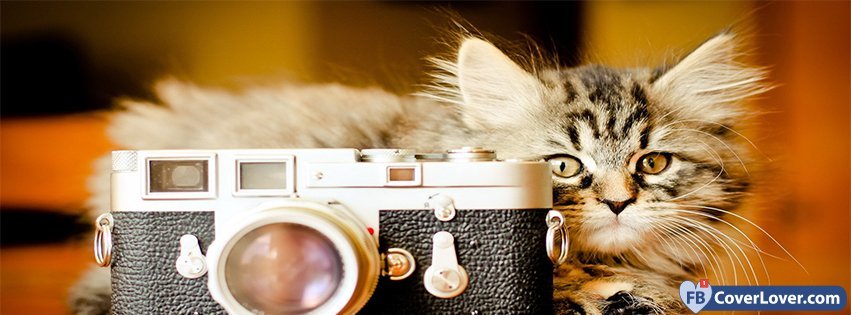 Camera Cat