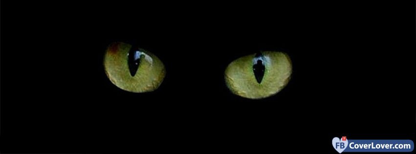 Cat Eyes 3 