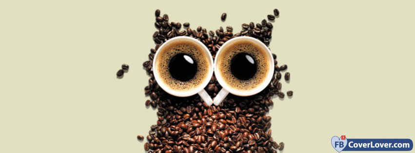 Coffee Owl