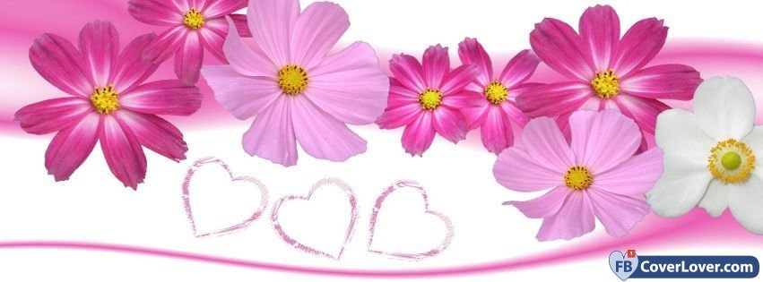 Cute Pink Flowers Cute Facebook Cover Maker Fbcoverlover Com