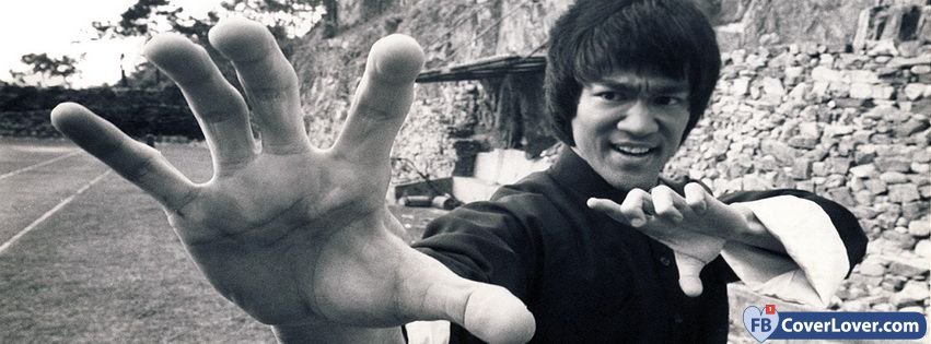 Fighting Bruce Lee