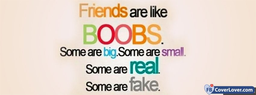 Friends Are Like Boobs