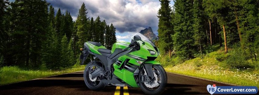 Green Bike On The Road In Forests