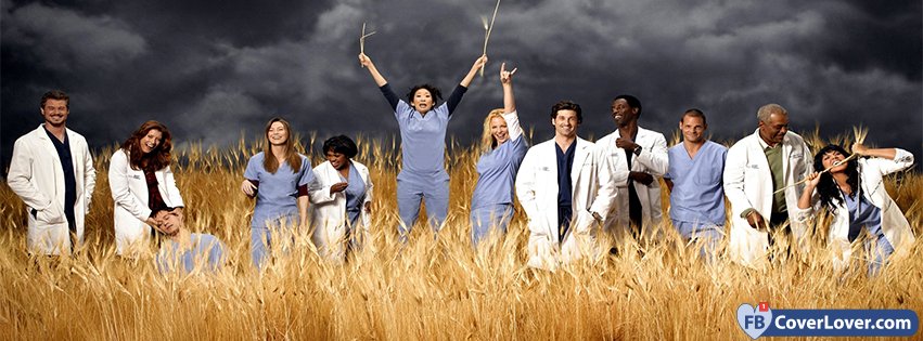 Greys Anatomy 2