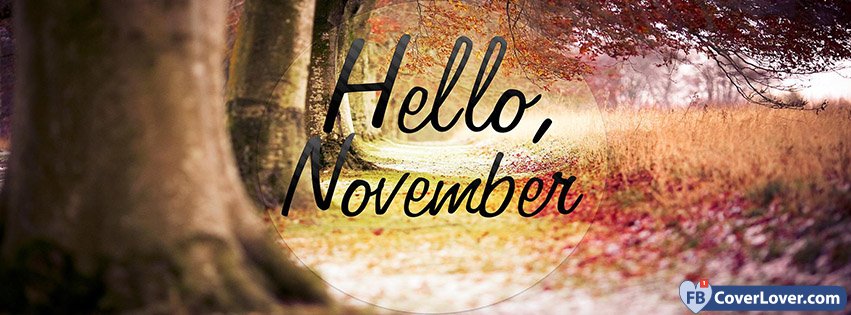 Hello November Forest View