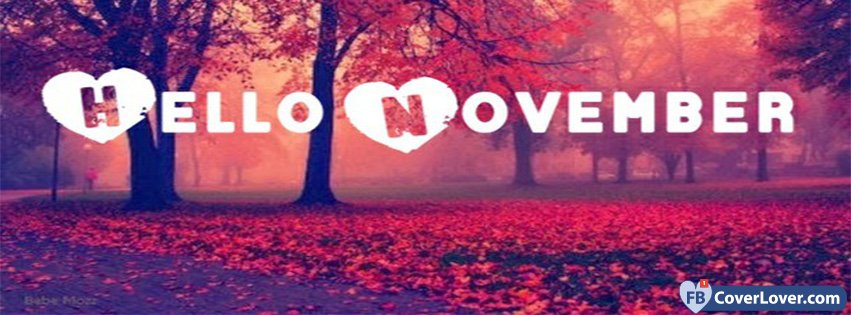 Hello Love November