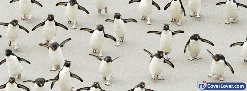 Penguin Awareness Day 