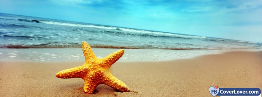 Summer Beach Starfish