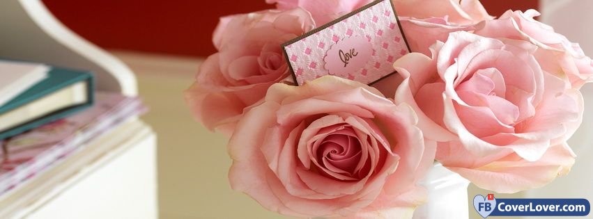 Valentines Day Gift Pink Roses