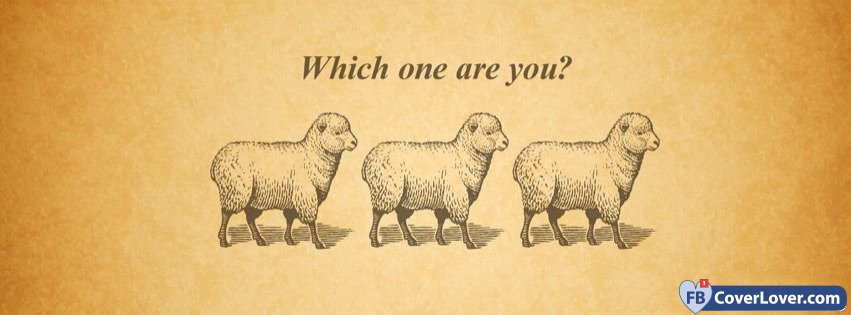 Which One Are You