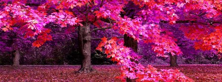 Pink Autumn Facebook Covers
