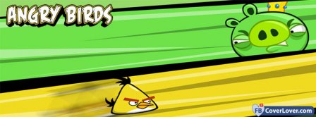 Angry Birds 4  Facebook Covers