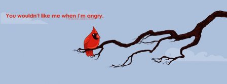 Angry Birds   Facebook Covers