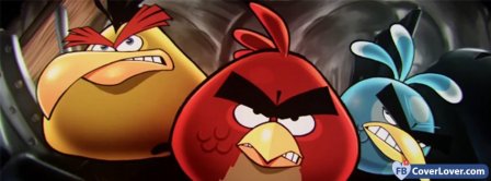 Angry Birds 13 Facebook Covers