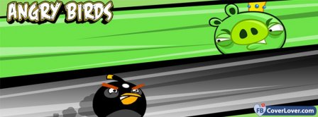 Angry Birds 9 Facebook Covers