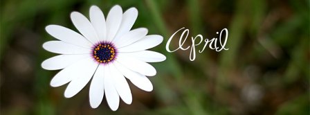 April Flower Facebook Covers