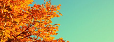 Autumn Colors Facebook Covers