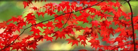 Autumn Facebook Covers