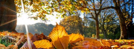 Autumn Forest Facebook Covers