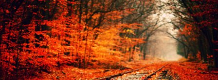 Autumn Forest And Rails Facebook Covers