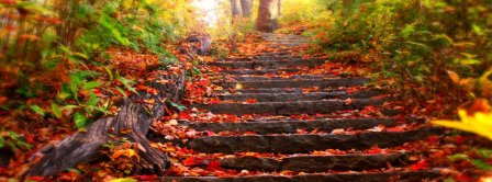 Autumn Forest Stairs Facebook Covers