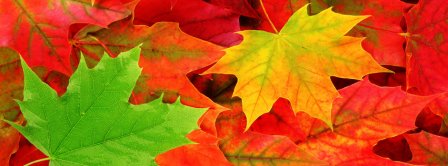 Autumn Leaves 2 Facebook Covers