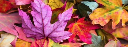 Autumn Leaves 4 Facebook Covers