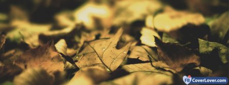 Autumn Leaves Seasonal Facebook Covers