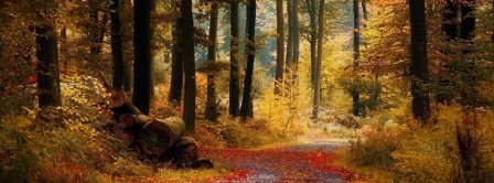 Autumn November Facebook Covers