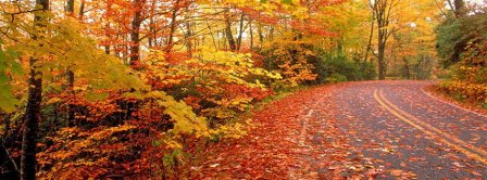 Autumn Road Facebook Covers