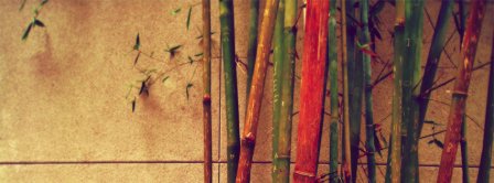 Bamboos Facebook Covers