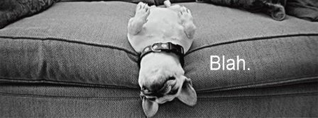 Blah  French Bulldog Facebook Covers