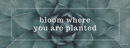 Bloom Where You Are Planted Facebook Covers