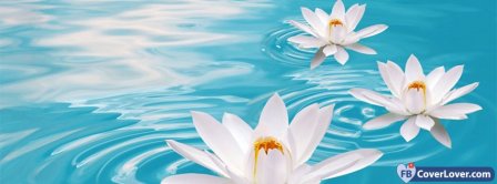 White Water Lily Facebook Covers