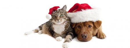 Cat And Dog With Christmas Hat Facebook Covers