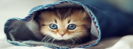 Cat Hiding In A Pair Of Jeans Facebook Covers