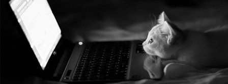 Cat Watching Computer Facebook Covers