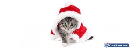 Christmas Cat Disguised  Facebook Covers