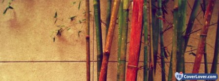 Colorful Bamboo  Facebook Covers