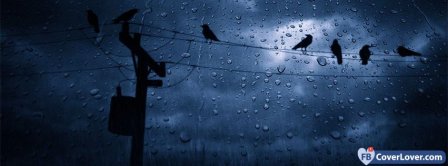 Crows And Rain Facebook Covers