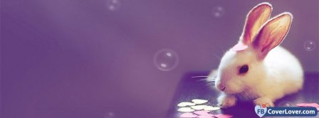 Cute Bunny With Hearts Facebook Covers