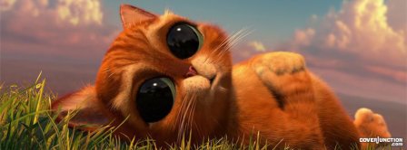 Cute Kitty Facebook Covers