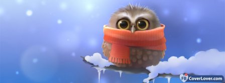 Cute Owl In The Winter Facebook Covers