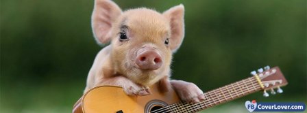 Cute Pig 2  Facebook Covers