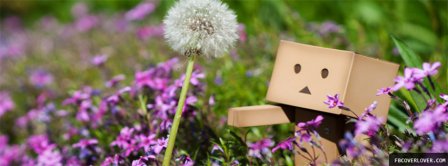 Danbo Danboards With Flower Facebook Covers