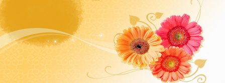 Flowers Composition  Facebook Covers