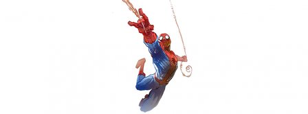 Flying Spidey Facebook Covers