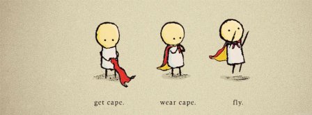 Funny Cape Fly Facebook Covers